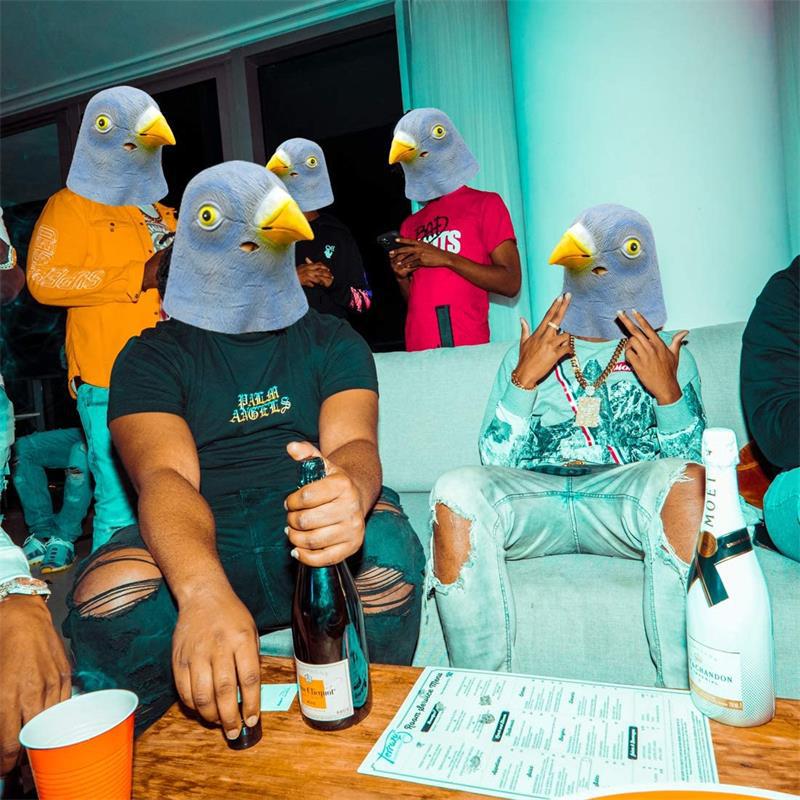 Pigeon mask costume novelty Ha - Skincare Pigeon recensione e prezzo