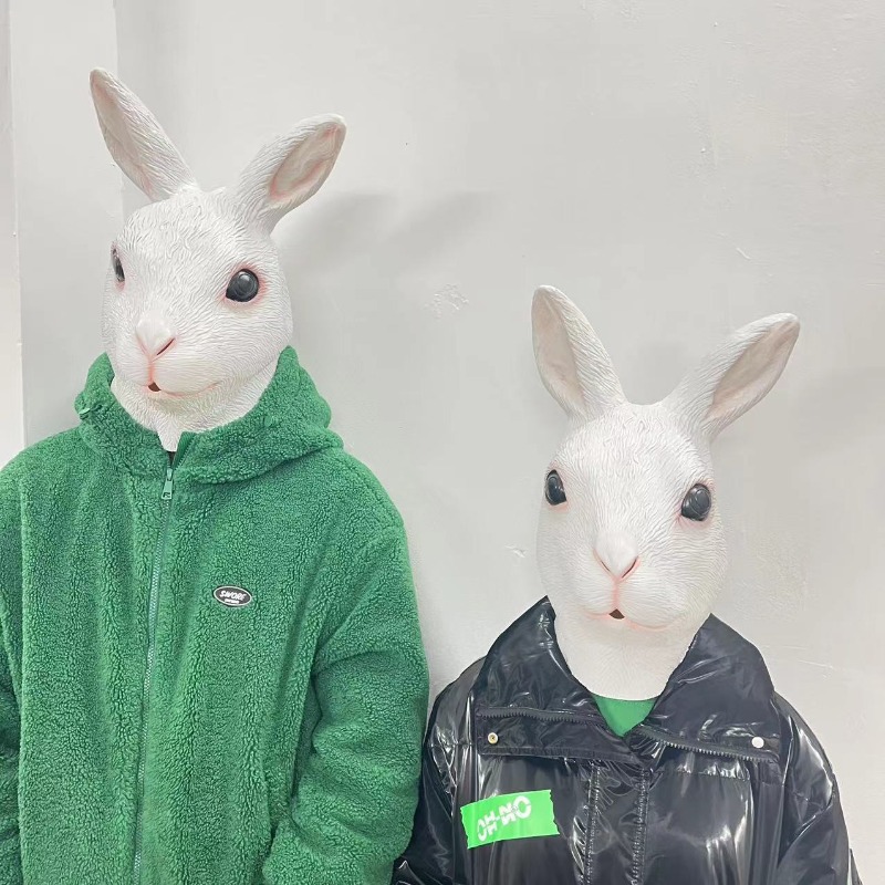 Put on Masks, Animal Headgear, - Skincare Pigeon recensione e prezzo